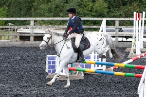 Class 4 - Fences 2'3 to 2'6